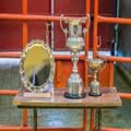 Cattle Show and Sale (22)